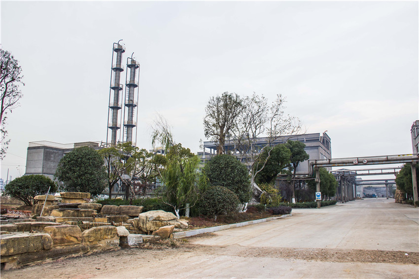 AG Club | The Originator of Live Casino