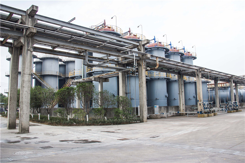 AG Club | The Originator of Live Casino