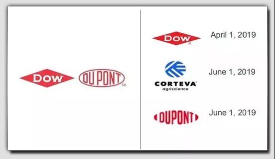 AG Club | The Originator of Live Casino