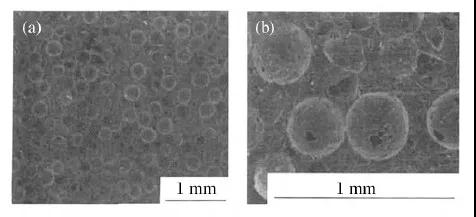 AG Club | The Originator of Live Casino